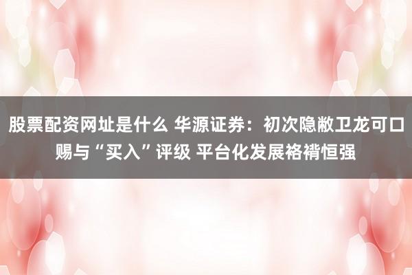 股票配资网址是什么 华源证券：初次隐敝卫龙可口赐与“买入”评级 平台化发展袼褙恒强