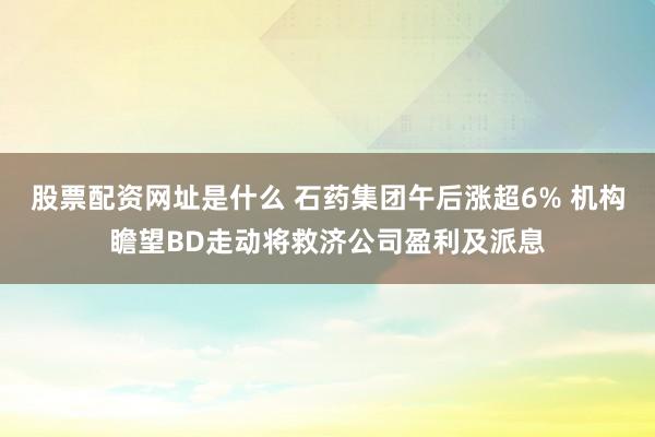 股票配资网址是什么 石药集团午后涨超6% 机构瞻望BD走动将救济公司盈利及派息