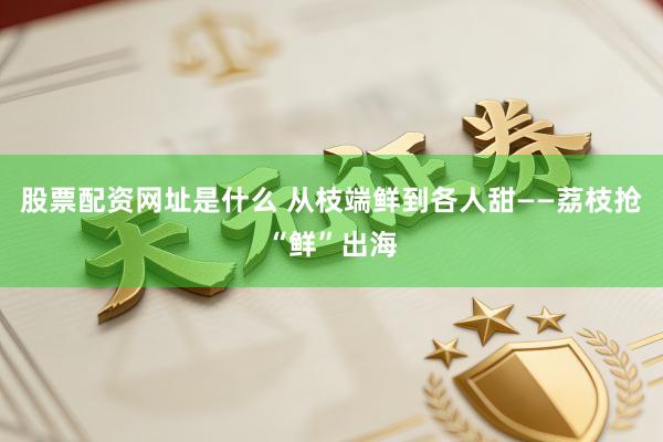 股票配资网址是什么 从枝端鲜到各人甜——荔枝抢“鲜”出海