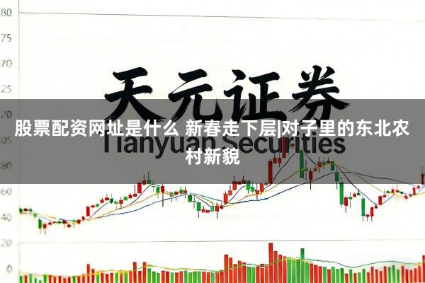 股票配资网址是什么 新春走下层|对子里的东北农村新貌