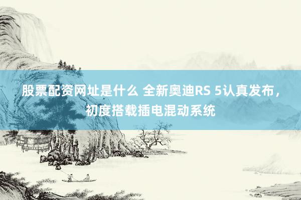 股票配资网址是什么 全新奥迪RS 5认真发布，初度搭载插电混动系统