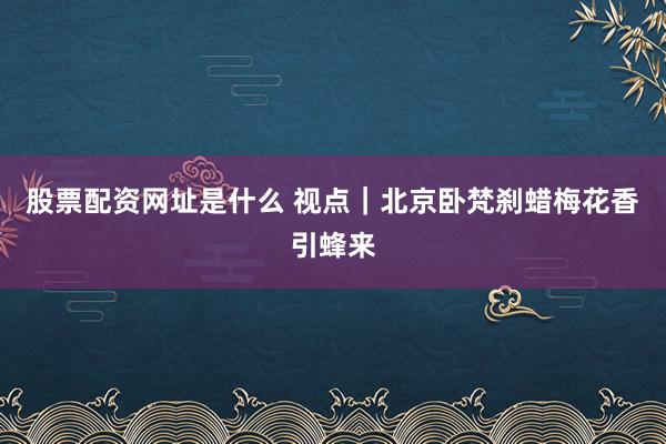 股票配资网址是什么 视点｜北京卧梵刹蜡梅花香引蜂来