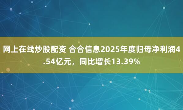 网上在线炒股配资 合合信息2025年度归母净利润4.54亿元，同比增长13.39%